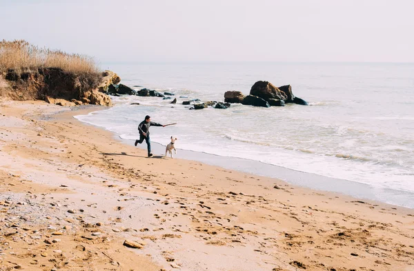 Чоловік грає з собакою-лабрадором на пляжі — стокове фото
