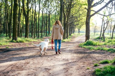 Kız ile parkta köpek yürüyüş