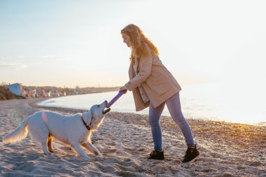 Genç bir kadın köpeğiyle oynuyor.