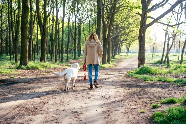 Девушка гуляет с собакой в парке — стоковое фото