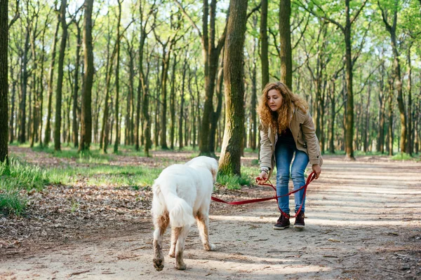 Девушка гуляет с собакой в парке — стоковое фото