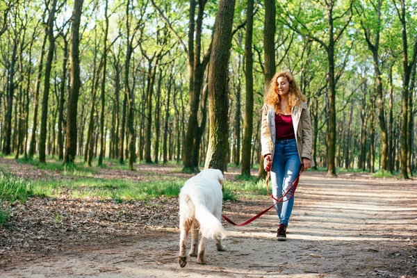 Kız ile parkta köpek yürüyüş — Stok fotoğraf