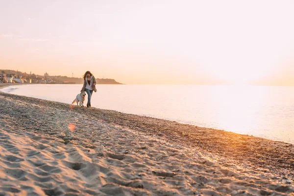 Joven mujer jugando con su perro —  Fotos de Stock