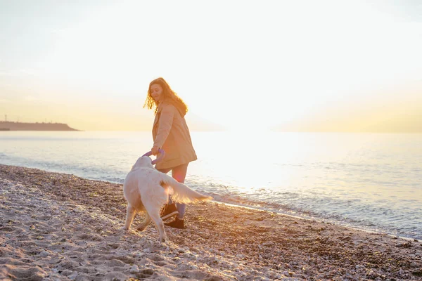 Młoda kobieta bawiąca się z psem — Zdjęcie stockowe