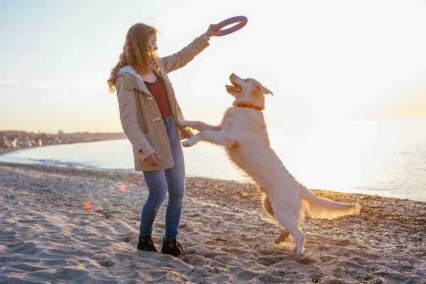 Młoda kobieta bawiąca się z psem — Zdjęcie stockowe