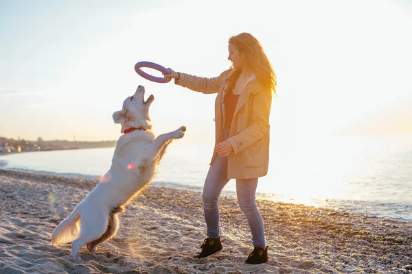 Ung kvinna leker med sin hund — Stockfoto
