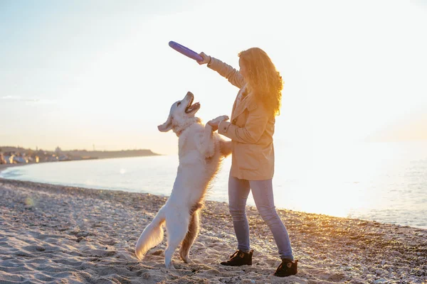 Jovem mulher brincando com seu cão — Fotografia de Stock