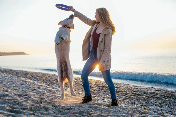 Junge Frau spielt mit ihrem Hund — Stockfoto