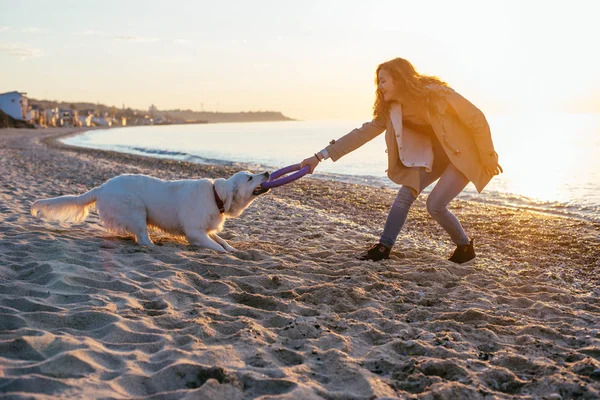 Ung kvinna leker med sin hund — Stockfoto