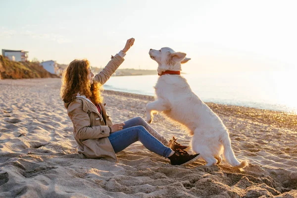 Ung kvinna leker med sin hund — Stockfoto