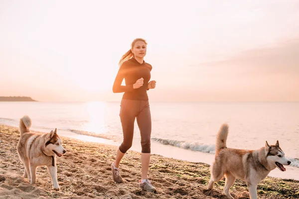 Kadın ve plajda husky