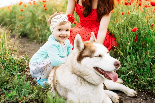 Anne ve kızı ile husky köpek — Stok fotoğraf