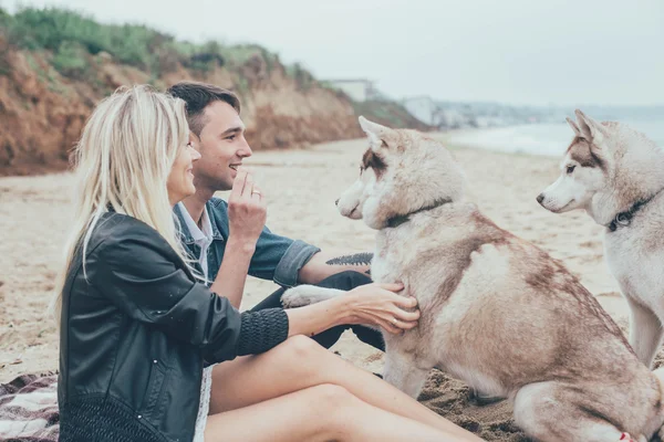 Junges Paar mit Husky-Hunden — Stockfoto