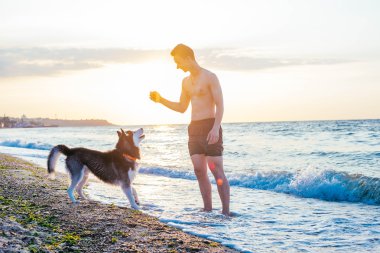 Delikanlı ile köpek sahilde