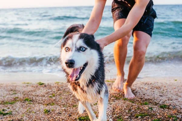 ชายหนุ่มกับสุนัขบนชายหาด — ภาพถ่ายสต็อก