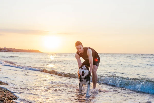 해변에 강아지와 함께 젊은 남자 — 스톡 사진