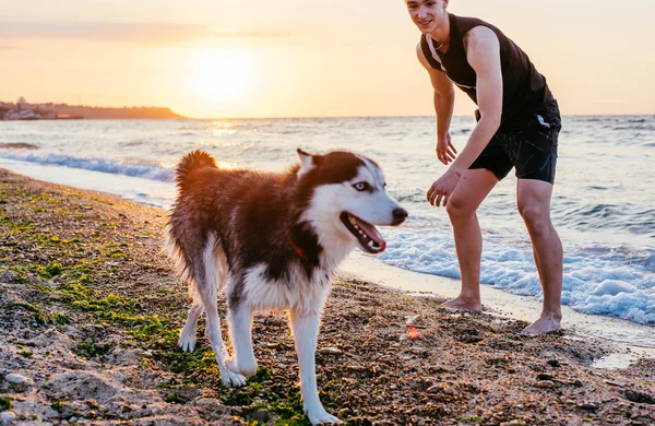 Anak muda dengan anjing di pantai — Stok Foto