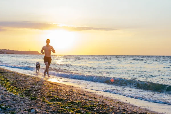 Человек бежит с собакой на пляже — стоковое фото