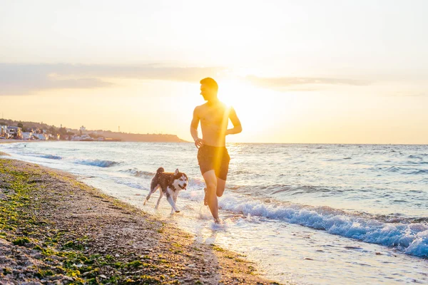 Ο άνθρωπος που τρέχει με σκύλος στην παραλία — Φωτογραφία Αρχείου