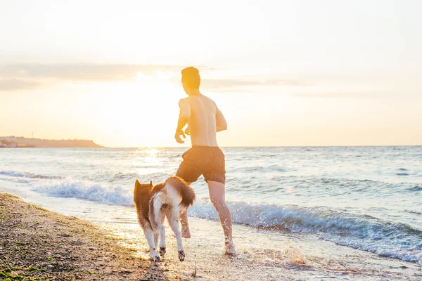 해변에 강아지와 함께 실행 하는 남자 — 스톡 사진