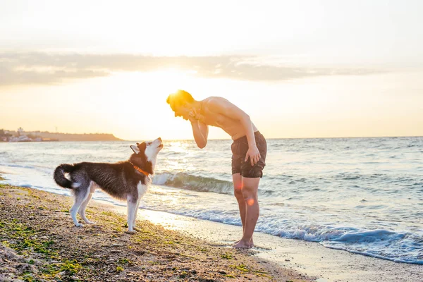 Joven con perro en la playa —  Fotos de Stock