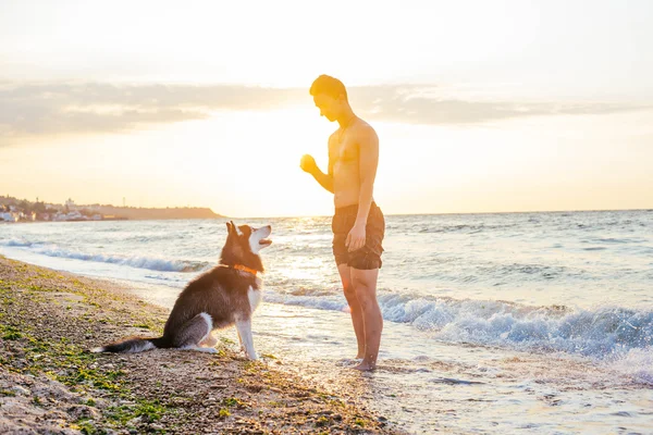 Νεαρός άνδρας με σκύλος στην παραλία — Φωτογραφία Αρχείου