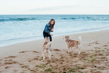 Kadın ve plajda husky