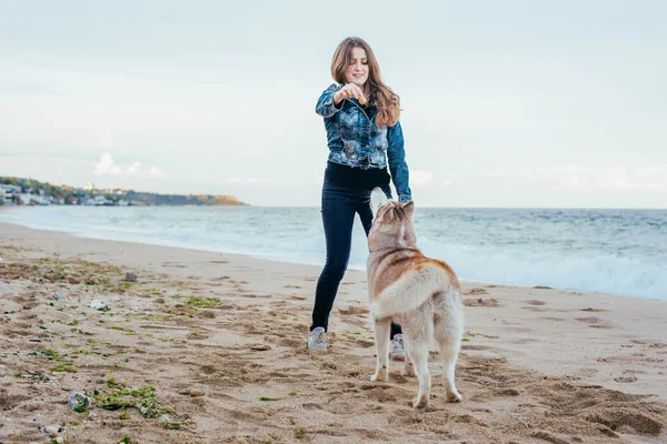 Kvinna och husky på stranden — Stockfoto