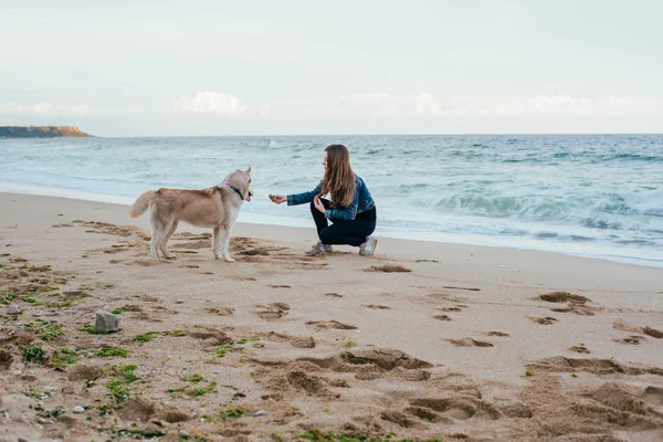 Kobieta i husky na plaży — Zdjęcie stockowe
