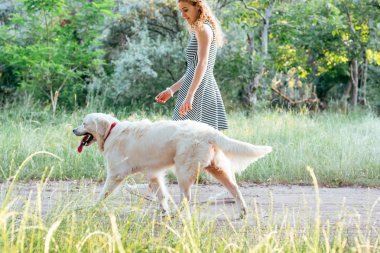 Kız ile parkta köpek yürüyüş