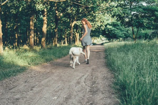 Menina brincando com cão no parque — Fotografia de Stock