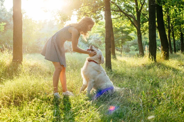 公園で犬と遊ぶ少女 — ストック写真