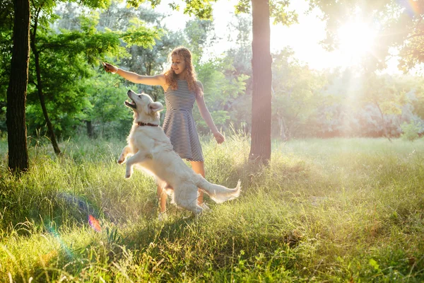 Dívka si hraje s psa v parku — Stock fotografie