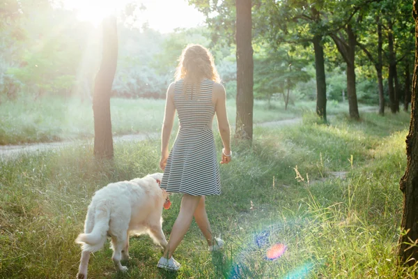 Chica caminando con perro en el parque — Foto de Stock