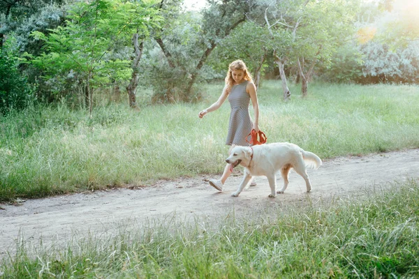 Kız ile parkta köpek yürüyüş — Stok fotoğraf