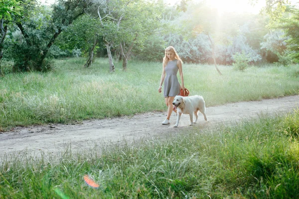 Kız ile parkta köpek yürüyüş — Stok fotoğraf