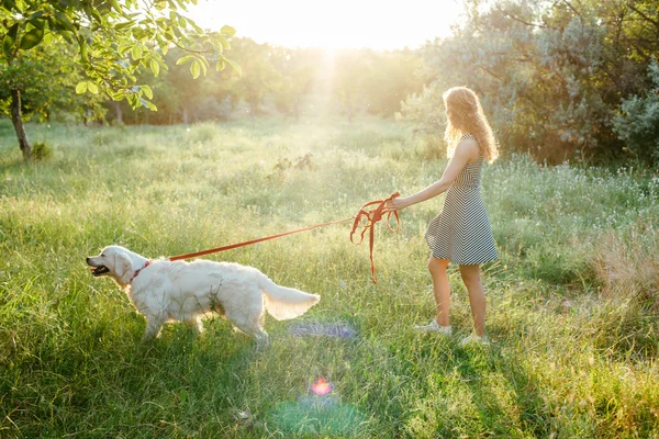 Kız ile parkta köpek yürüyüş — Stok fotoğraf