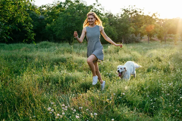 Ragazza che gioca con il cane nel parco — Foto Stock