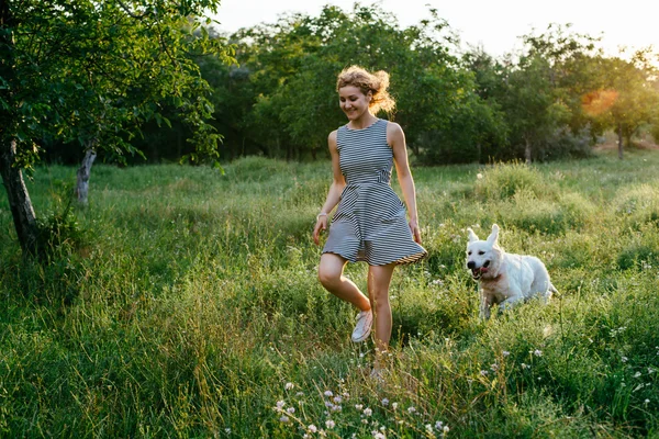 Ragazza che gioca con il cane nel parco — Foto Stock