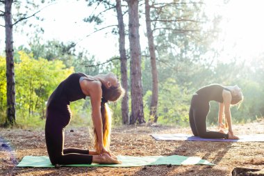 iki kadın ormanda Yoga uygulamak