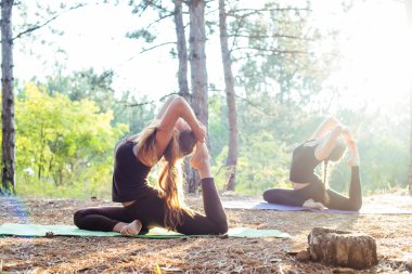 iki kadın ormanda Yoga uygulamak