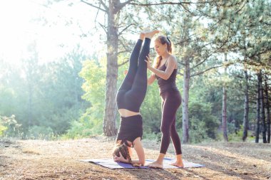 iki kadın ormanda Yoga uygulamak