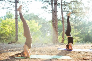 iki kadın ormanda Yoga uygulamak