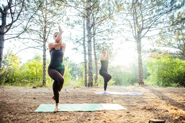 Dwie kobiety praktykowania jogi w drewnie — Zdjęcie stockowe