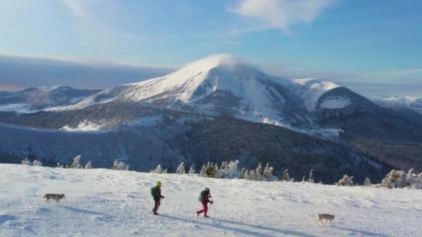 Εναέρια Λήψη Δύο Πεζοπόρους Όμορφα Χιονισμένα Βουνά Ζευγάρι Δύο Σιβηρικά — Αρχείο Βίντεο