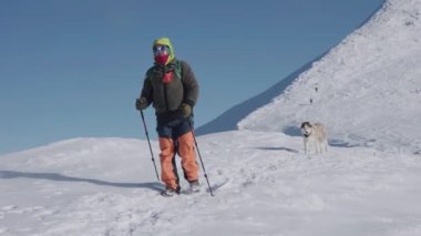 Karlı kış dağlarında iki Sibirya köpeğiyle yürüyüş yapan adamın 4k fotoğrafı.