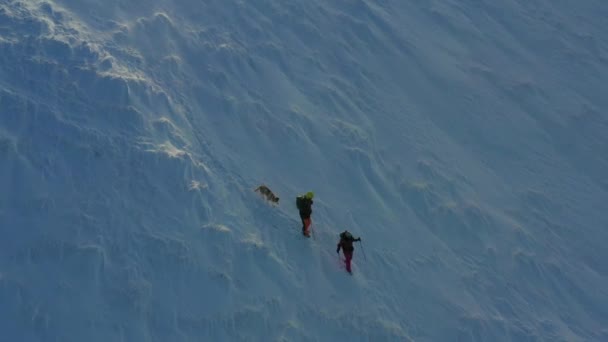 Luftaufnahme Von Zwei Wanderern Wunderschönen Schneebedeckten Bergen Paar Mit Zwei — Stockvideo