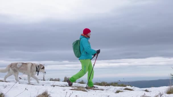 Shot Man Hiking Snowy Winter Mountains Two Siberian Husky Dogs — Stock Video