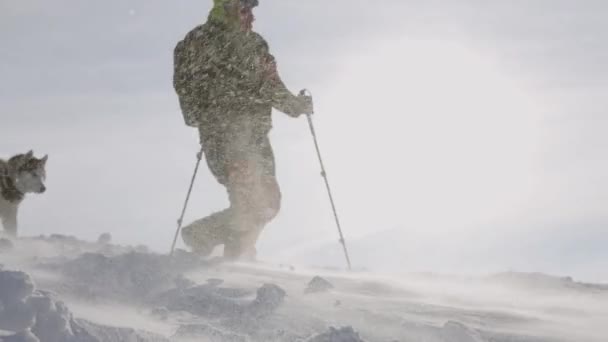 Shot Man Hiking Snowy Winter Mountains Two Siberian Husky Dogs — Stock Video