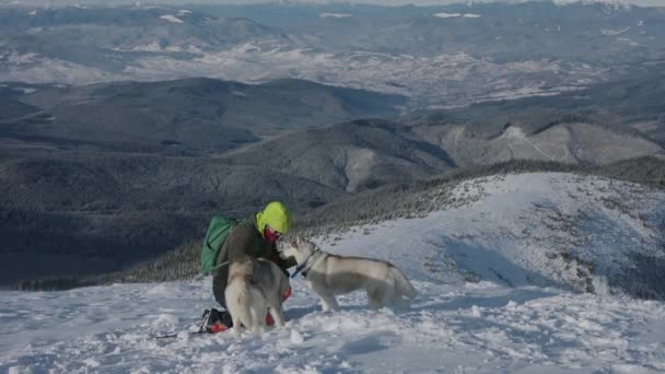 Tiro Homem Caminhando Montanhas Nevadas Inverno Com Dois Cães Husky — Vídeo de Stock